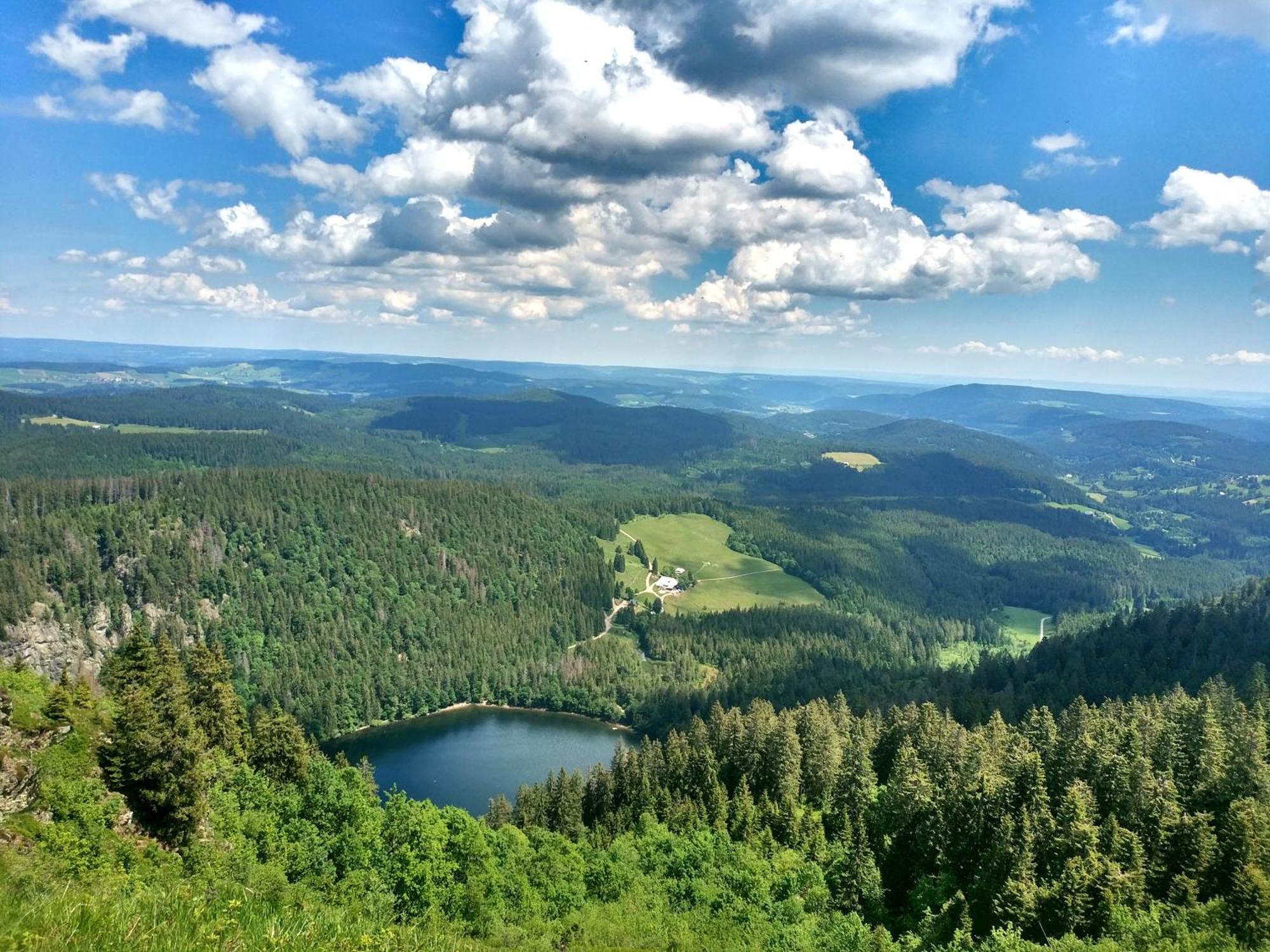 Ferienwohnung Seeblick Nr 2 5-Zimmerwohnung - Feldberg Baerental Rotwasser Экстерьер фото