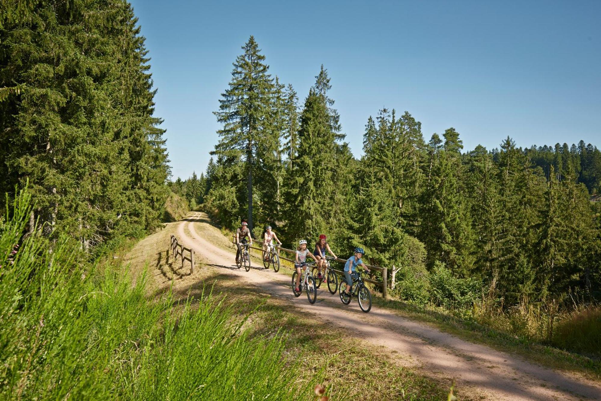 Ferienwohnung Seeblick Nr 2 5-Zimmerwohnung - Feldberg Baerental Rotwasser Экстерьер фото